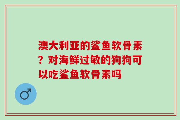 澳大利亚的鲨鱼软骨素？对海鲜过敏的狗狗可以吃鲨鱼软骨素吗