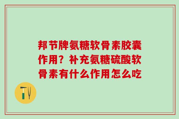 邦节牌氨糖软骨素胶囊作用？补充氨糖硫酸软骨素有什么作用怎么吃