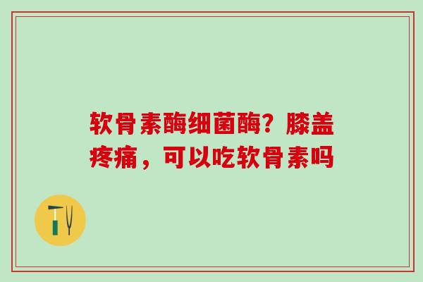 软骨素酶细菌酶？膝盖疼痛，可以吃软骨素吗