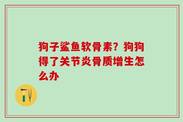 狗子鲨鱼软骨素？狗狗得了怎么办