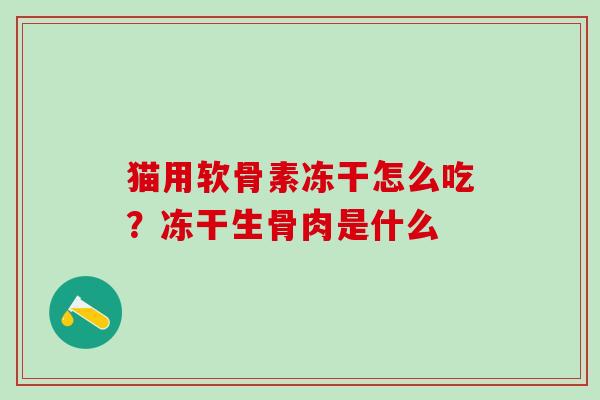 猫用软骨素冻干怎么吃？冻干生骨肉是什么