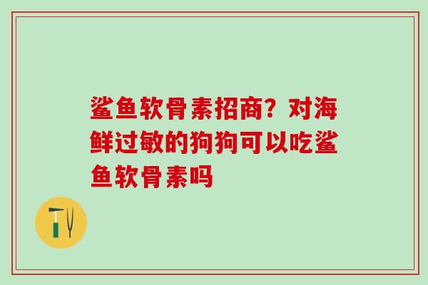 鲨鱼软骨素招商？对海鲜过敏的狗狗可以吃鲨鱼软骨素吗