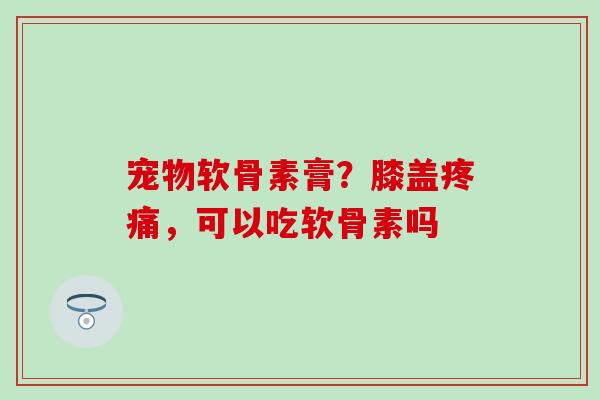 宠物软骨素膏？膝盖疼痛，可以吃软骨素吗