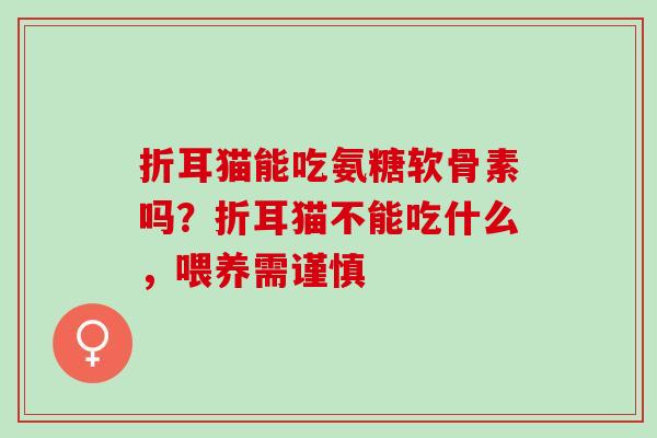 折耳猫能吃氨糖软骨素吗？折耳猫不能吃什么，喂养需谨慎