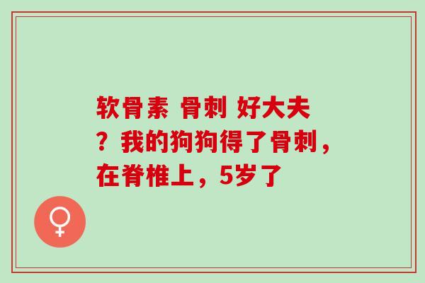 软骨素 骨刺 好大夫？我的狗狗得了骨刺，在脊椎上，5岁了