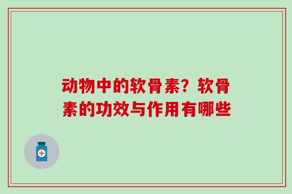 动物中的软骨素？软骨素的功效与作用有哪些