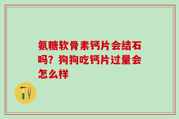 氨糖软骨素钙片会结石吗？狗狗吃钙片过量会怎么样