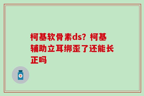 柯基软骨素ds？柯基辅助立耳绑歪了还能长正吗