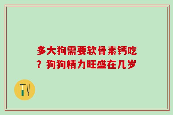 多大狗需要软骨素钙吃？狗狗精力旺盛在几岁