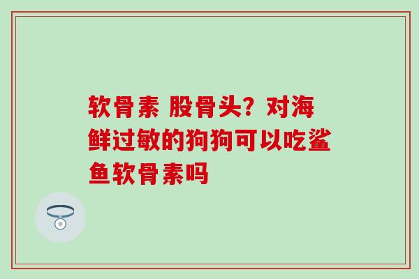 软骨素 股骨头？对海鲜过敏的狗狗可以吃鲨鱼软骨素吗