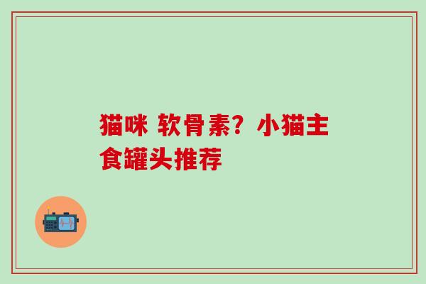 猫咪 软骨素？小猫主食罐头推荐