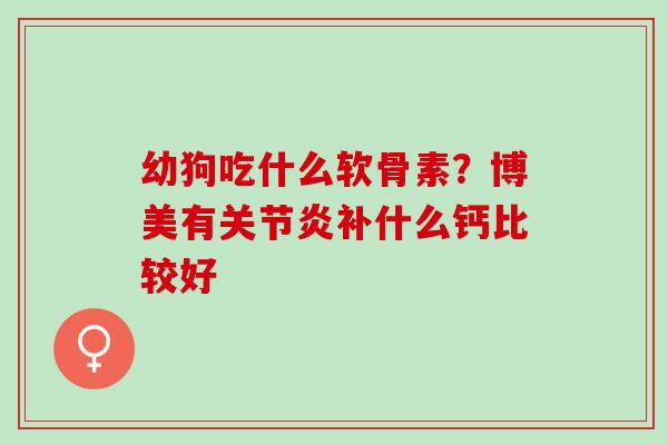 幼狗吃什么软骨素？博美有关节炎补什么钙比较好