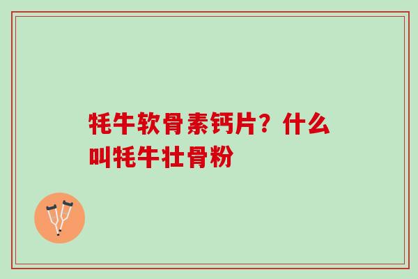 牦牛软骨素钙片?什么叫牦牛壮骨粉 牦牛软骨素钙片?什么叫牦牛壮骨粉
