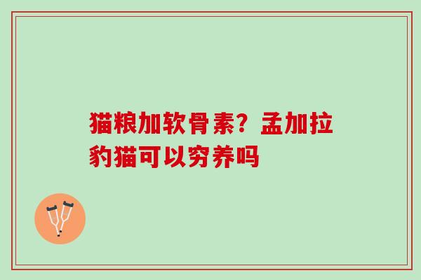 猫粮加软骨素？孟加拉豹猫可以穷养吗