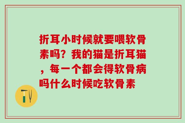 折耳小时候就要喂软骨素吗？我的猫是折耳猫，每一个都会得软骨病吗什么时候吃软骨素