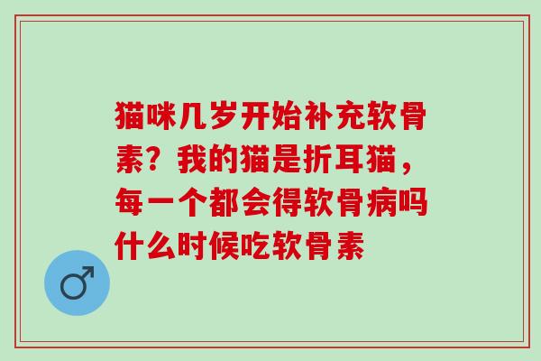 猫咪几岁开始补充软骨素？我的猫是折耳猫，每一个都会得软骨病吗什么时候吃软骨素