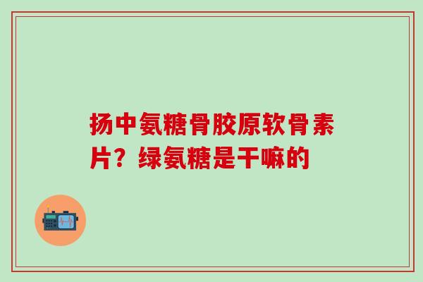 扬中氨糖骨胶原软骨素片？绿氨糖是干嘛的