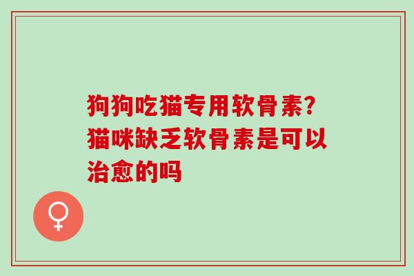 狗狗吃猫专用软骨素？猫咪缺乏软骨素是可以治愈的吗