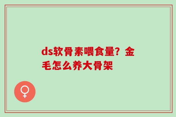 ds软骨素喂食量？金毛怎么养大骨架