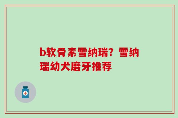 b软骨素雪纳瑞？雪纳瑞幼犬磨牙推荐