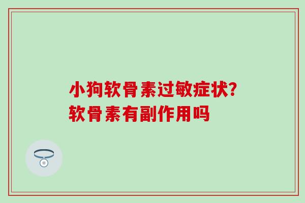 小狗软骨素过敏症状？软骨素有副作用吗