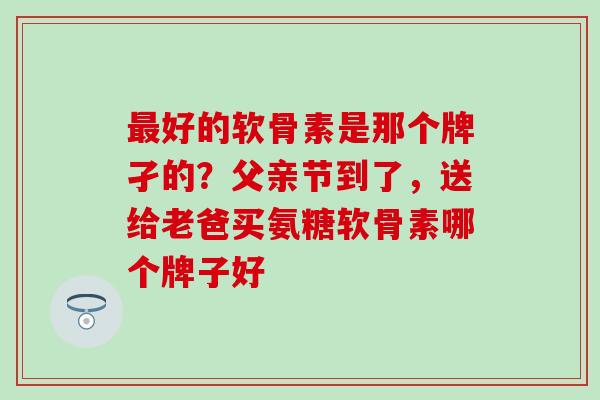 最好的软骨素是那个牌孑的？父亲节到了，送给老爸买氨糖软骨素哪个牌子好