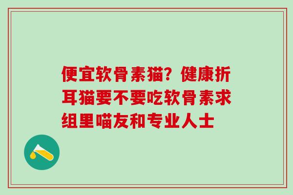 便宜软骨素猫？健康折耳猫要不要吃软骨素求组里喵友和专业人士