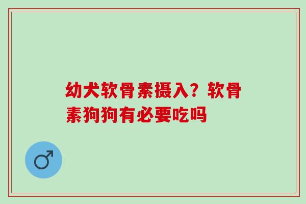 幼犬软骨素摄入？软骨素狗狗有必要吃吗