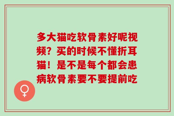 多大猫吃软骨素好呢视频?买的时候不懂折耳猫!是不是每个都会患软骨素要不要提前吃 多大猫吃软骨素好呢视频?买的时候不懂折耳猫!是不是每个都会患软骨素要不要提前吃