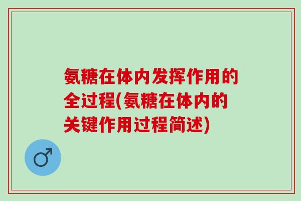 氨糖在体内发挥作用的全过程(氨糖在体内的关键作用过程简述)