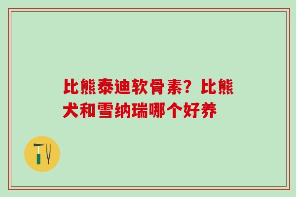 比熊泰迪软骨素？比熊犬和雪纳瑞哪个好养