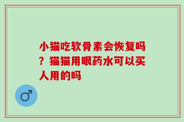 小猫吃软骨素会恢复吗？猫猫用眼药水可以买人用的吗