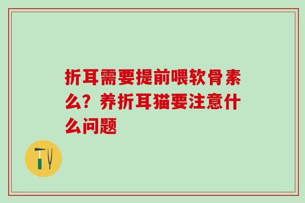 折耳需要提前喂软骨素么？养折耳猫要注意什么问题
