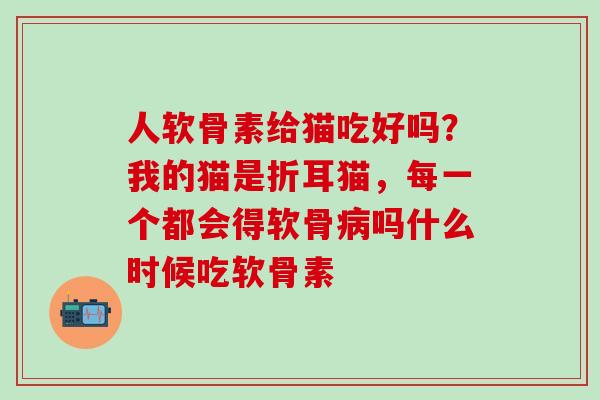 人软骨素给猫吃好吗？我的猫是折耳猫，每一个都会得软骨吗什么时候吃软骨素