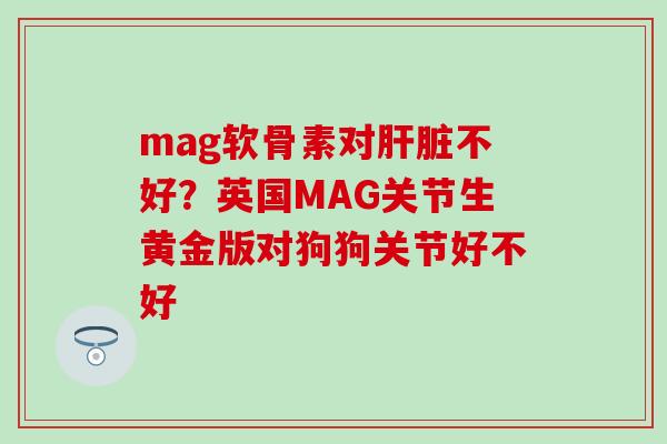 mag软骨素对肝脏不好？英国MAG关节生黄金版对狗狗关节好不好