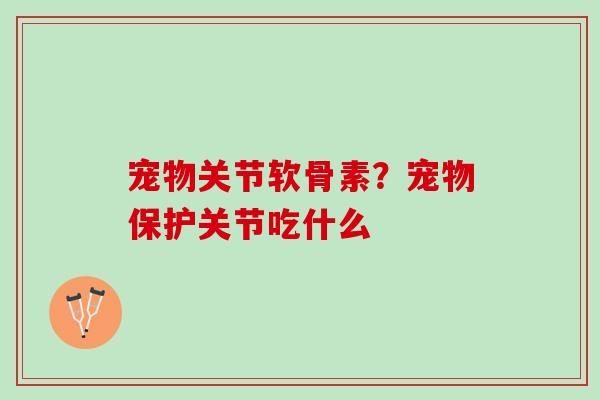 宠物关节软骨素？宠物保护关节吃什么