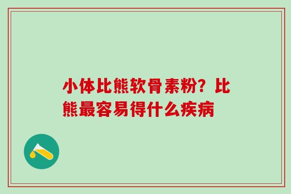 小体比熊软骨素粉？比熊最容易得什么疾病