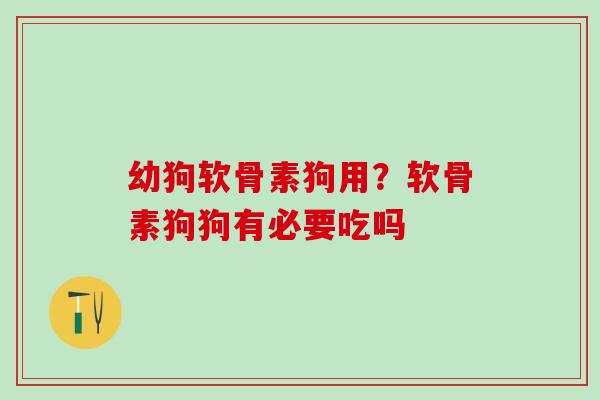 幼狗软骨素狗用？软骨素狗狗有必要吃吗