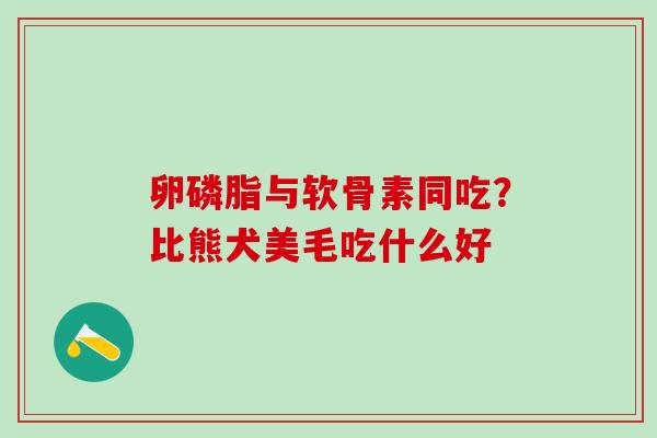 卵磷脂与软骨素同吃？比熊犬美毛吃什么好