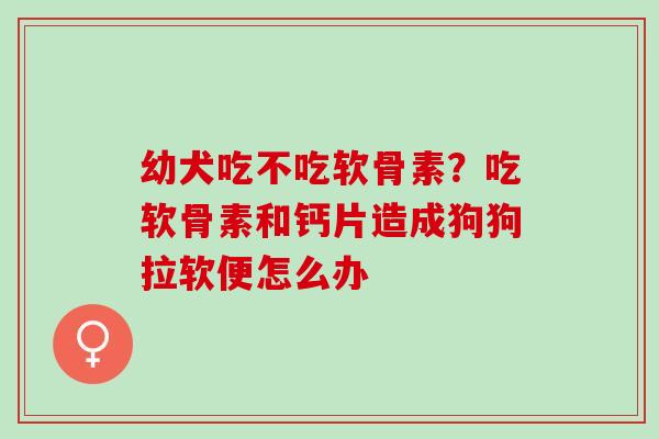 幼犬吃不吃软骨素？吃软骨素和钙片造成狗狗拉软便怎么办