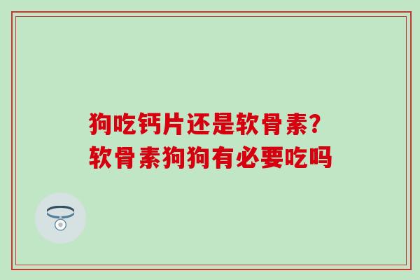 狗吃钙片还是软骨素？软骨素狗狗有必要吃吗