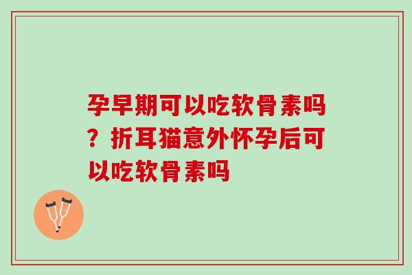 孕早期可以吃软骨素吗？折耳猫意外怀孕后可以吃软骨素吗