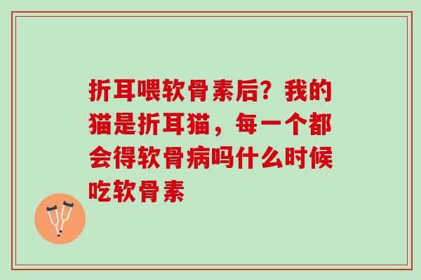 折耳喂软骨素后？我的猫是折耳猫，每一个都会得软骨病吗什么时候吃软骨素