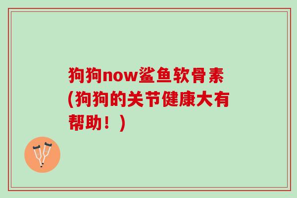 狗狗now鲨鱼软骨素(狗狗的关节健康大有帮助！)
