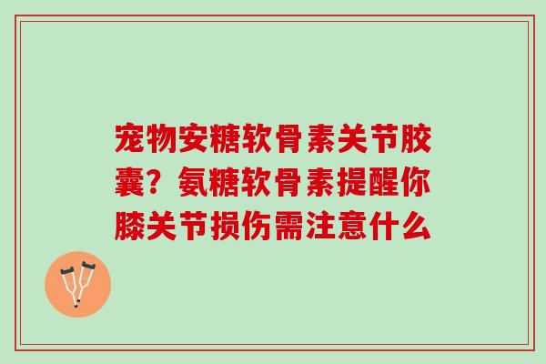 宠物安糖软骨素关节胶囊？氨糖软骨素提醒你膝关节损伤需注意什么