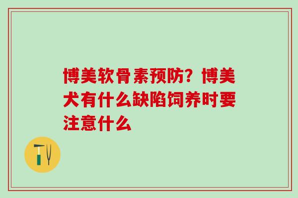 博美软骨素？博美犬有什么缺陷饲养时要注意什么