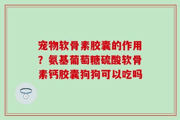 宠物软骨素胶囊的作用？氨基葡萄糖硫酸软骨素钙胶囊狗狗可以吃吗