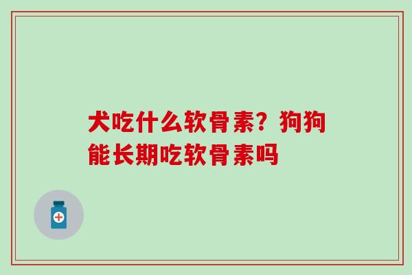 犬吃什么软骨素？狗狗能长期吃软骨素吗
