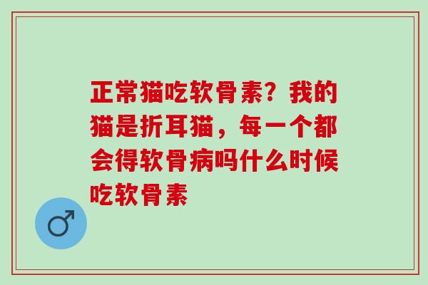 正常猫吃软骨素？我的猫是折耳猫，每一个都会得软骨病吗什么时候吃软骨素