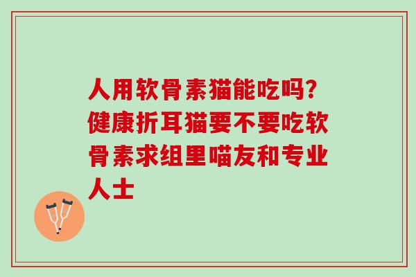 人用软骨素猫能吃吗？健康折耳猫要不要吃软骨素求组里喵友和专业人士